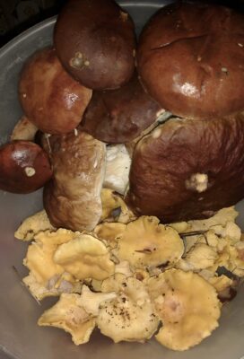 IMG_20201103_163059400