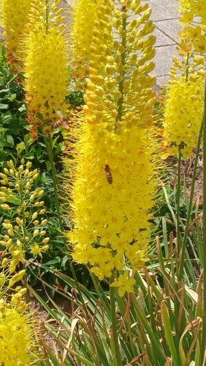 207892857_2956351571311653_282491824576946443_n (1)