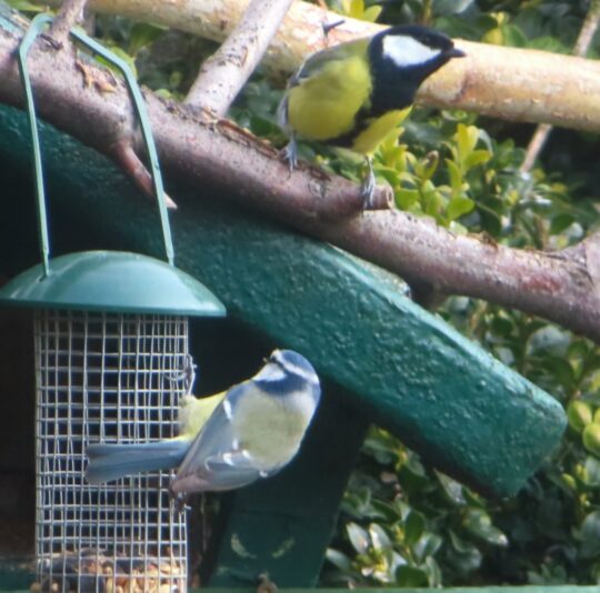 20240304110334_IMG_9005