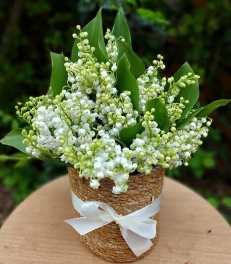 431137653_910605444402324_4905599355075824830_n