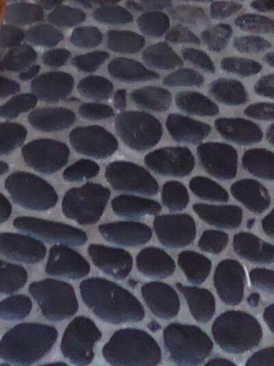 1.12.2021 auf der Blumeninsel Madera (214)