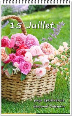 518351247_1182794473882853_6947807256379555453_n