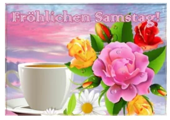 346284664_1433980630689350_1336107147468184077_n