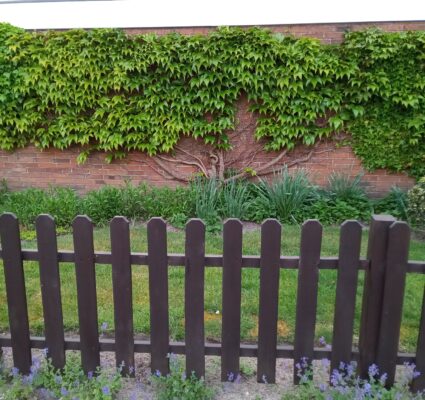 Gallery_1747498681326