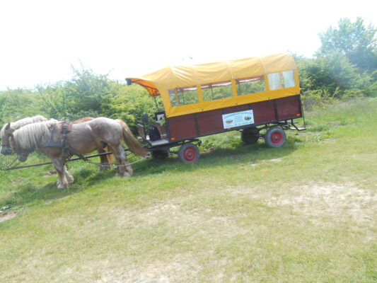 Ostseefahrte 25.5.2018 013