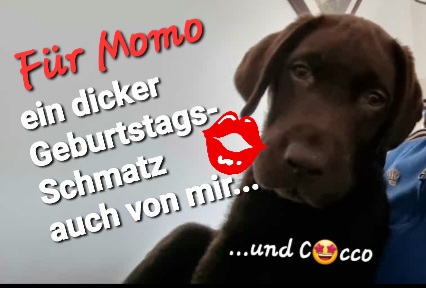 Screenshot_20220307-084816_WhatsApp