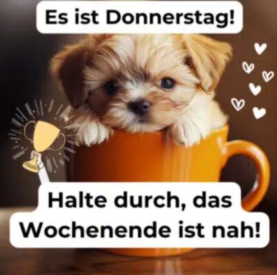 Screenshot_20251211_054116_Google