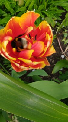 IMG_20190416_141832738