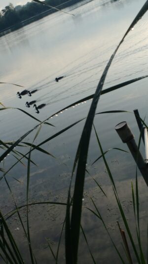 IMG_20200815_073947957