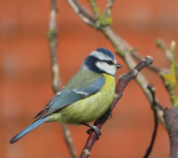 20230402135659_IMG_6620