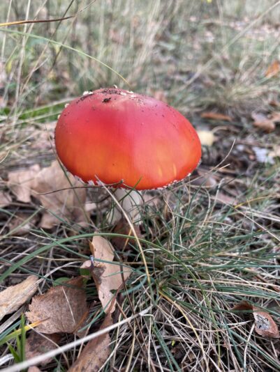 8D48CB62-967C-4D54-8FA0-8922D926CA38