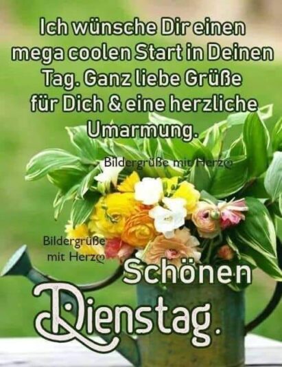 295033744_1143542406228422_3068177965824866154_n