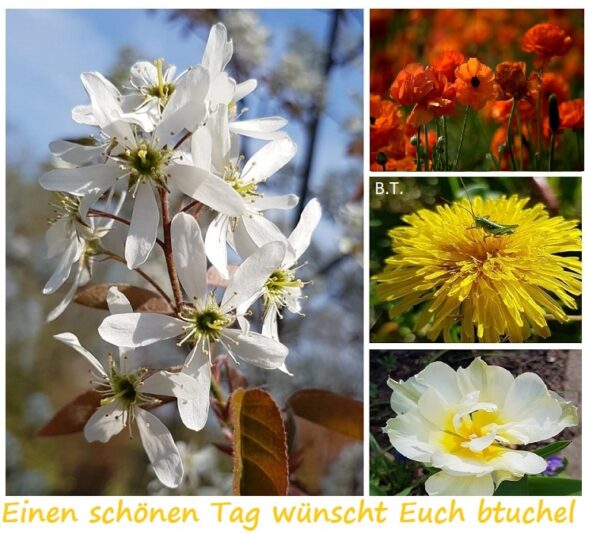 93874102_3306206999436809_8851349485868023808_n