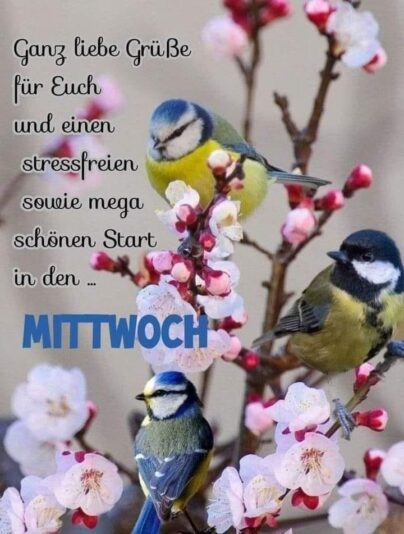 428605039_1504383716788888_8670942220680979084_n