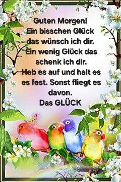 436360742_1083826612677682_2599890894537850648_n