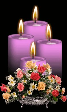 c536a25b02b0db3c80c079f1f10a007a