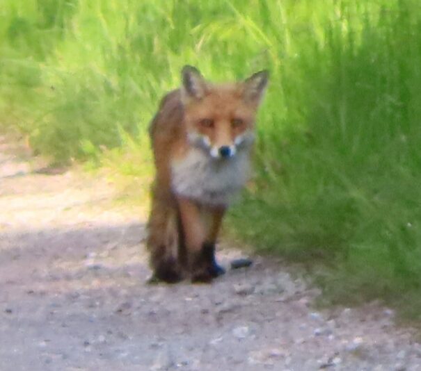 20230517163806_IMG_8553