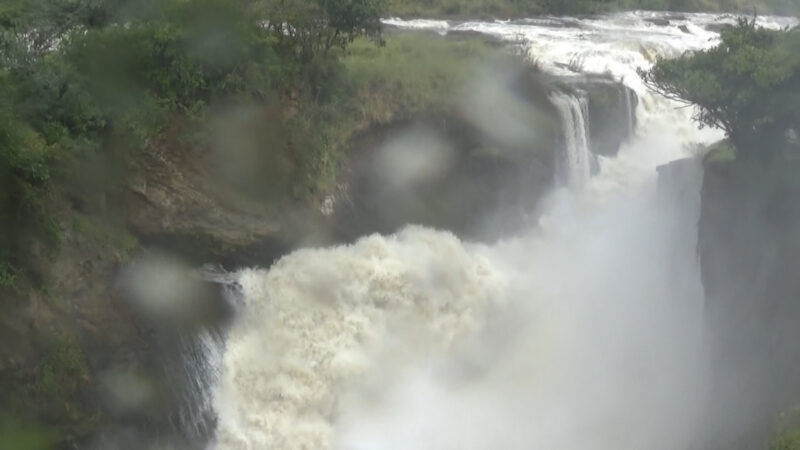 WhatsApp Image 2019-12-04 at 12.36.06(2)