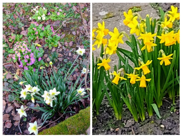 20240227_100758-COLLAGE