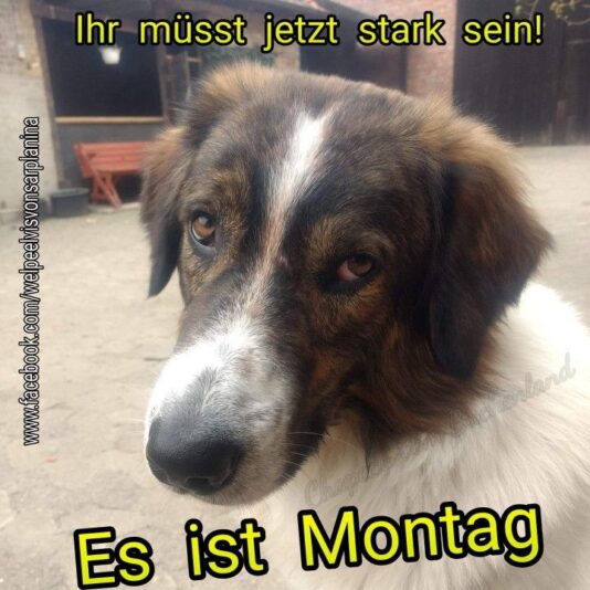 e0d6c4c6de572cc3a54c410f78c8d38f