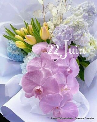 205008670_4343840295666033_6378202183419276387_n