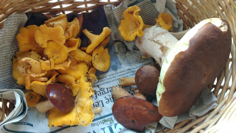 IMG_20211008_125819934