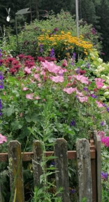 361290532_1981156888928400_4519139961723614172_n