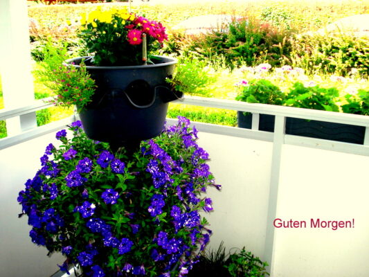 Guten Morgen!