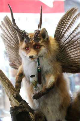 Bild_2026-02-28_092134065