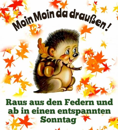 309354867_621739486163097_4081402170326637179_n (1)