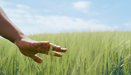 Gesundheit-innere-Stimme-Intuition-Abnehmen-Ernährung