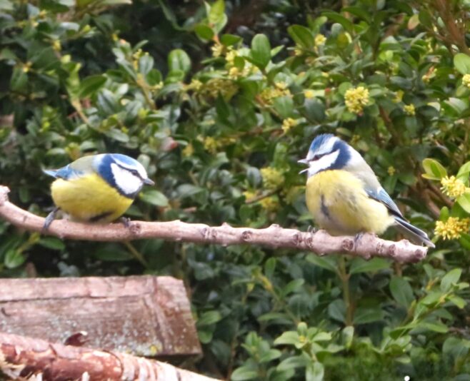 20230403113248_IMG_6637