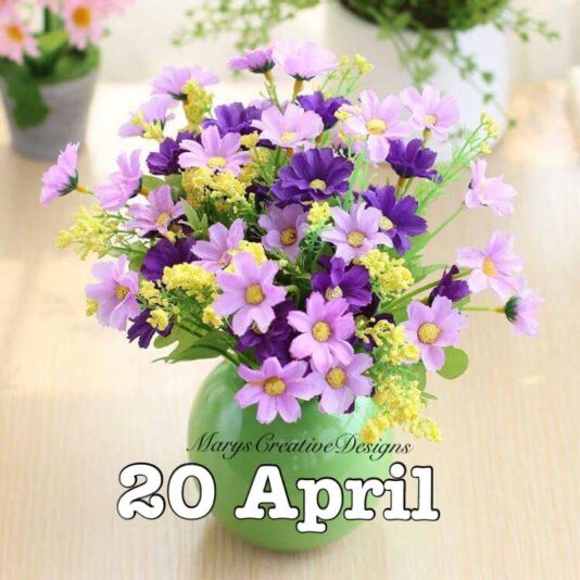 278377709_3175250216046107_5226353525029950015_n (2)