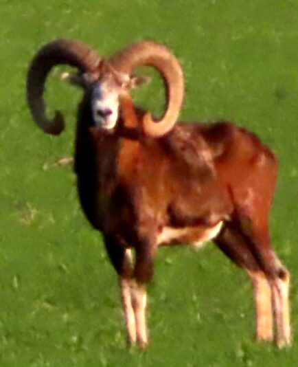 20240315162749_IMG_1010