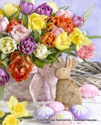 165564946_4085181701531895_1512773982450726067_n