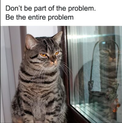 Bildschirmfoto vom 2024-12-16 11-54-49