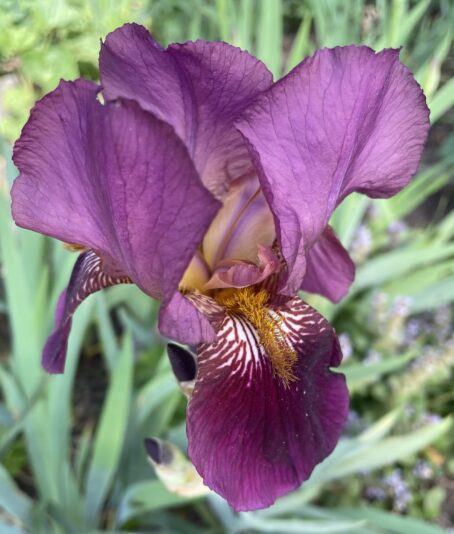 4EC16091-30A7-4099-9083-D0A991AEA783