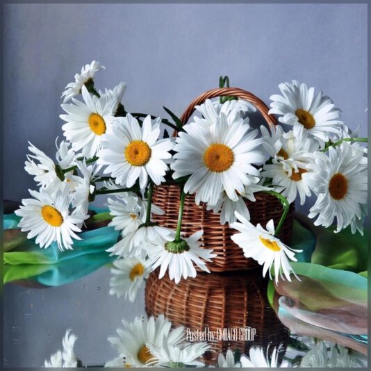 277706213_2080092705492493_6148684864620135792_n