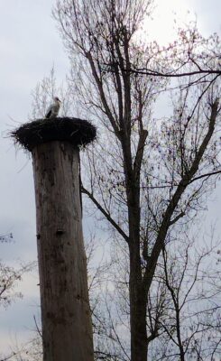 IMG_20250207_131938289