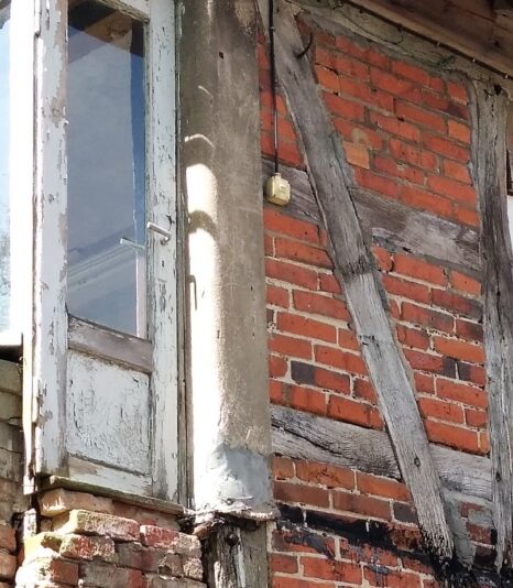 2022-04-29 Rehna (31)