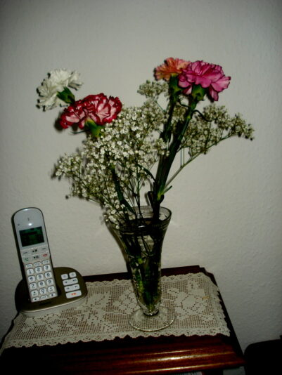 Rosenzeit geht zu Ende, Nelken folgen