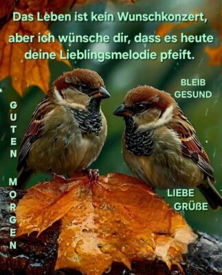 FB_IMG_1765354944440