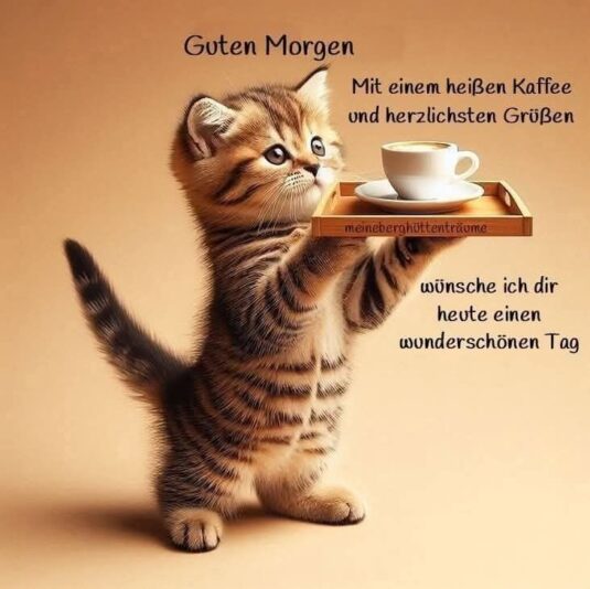 98b1256a488410b6557374c49645f775