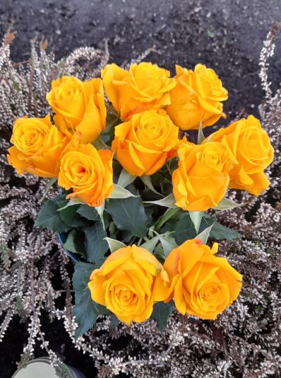 153122294_110174597762888_3400811183741608334_o