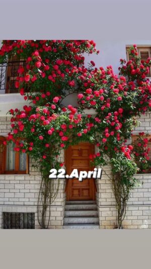 437600997_743976657907131_3534955552204548837_n (2)