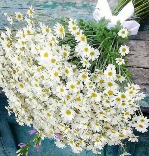 285670144_437217291741144_878727159428851795_n