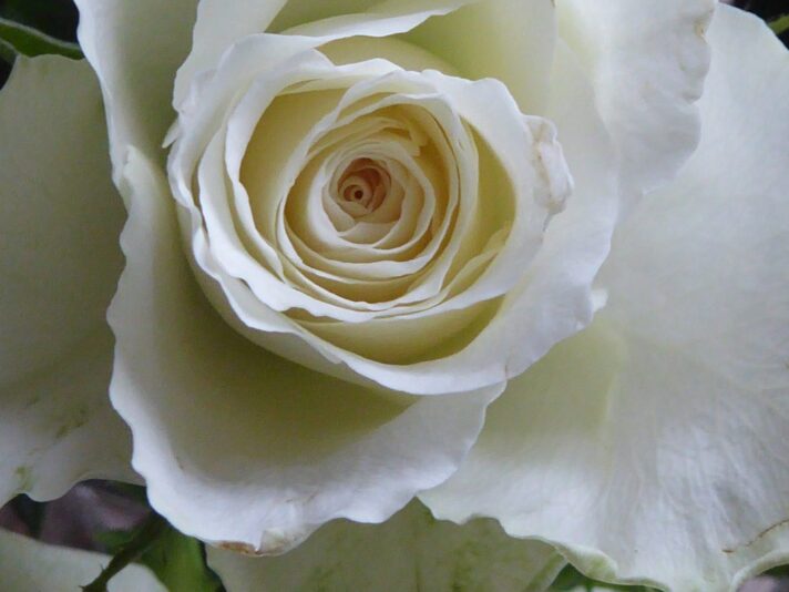 12.5.2020 Kalte Sofie (24)