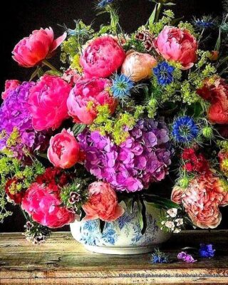 60224740_2405459036170845_8588715731821002752_n