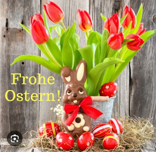 ed906d44-3d04-47d8-82f5-a1fc55467612