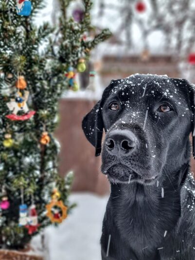 2022-11-03-03-58-45_IMG-20211207-WA0002